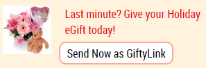 GiftyLink Video Guide